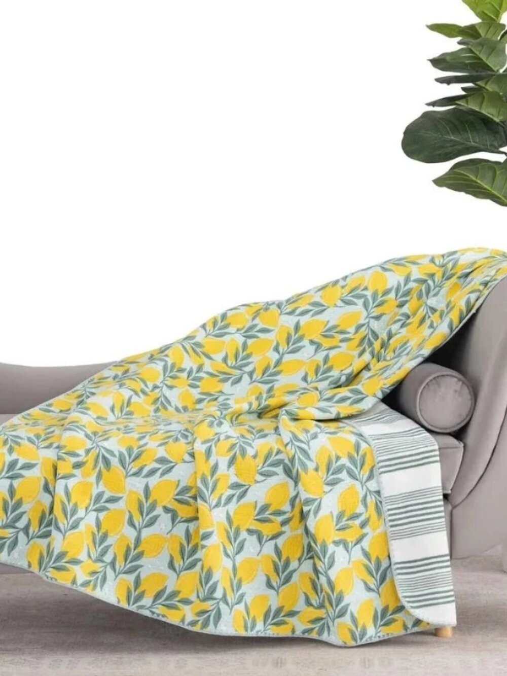Artist Collection Cotton Gauze Throw, Lemon , 60” x 70”
